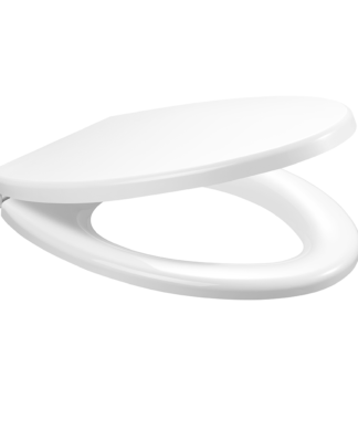 Caroma Soft Closing Detachable Elongated Seat