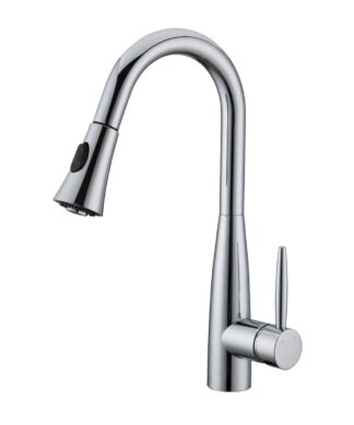 RUBY DAVISON PULL-DOWN DUAL SPRAY KITCHEN FAUCET