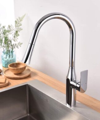 RUBY TIMELYSS PULL-DOWN DUAL SPRAY KITCHEN FAUCET