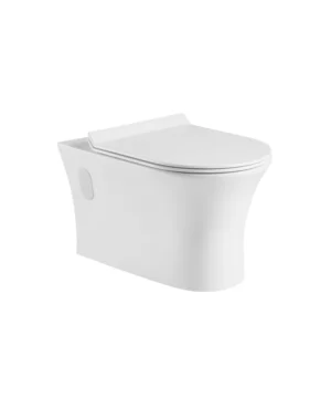 Agua Canada   TABORA Wall mounted, D-shape, dual-flush toilet