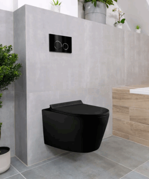 RUBY CANADA Dual-flush wall Mounted Toilet Kit ( All components included )