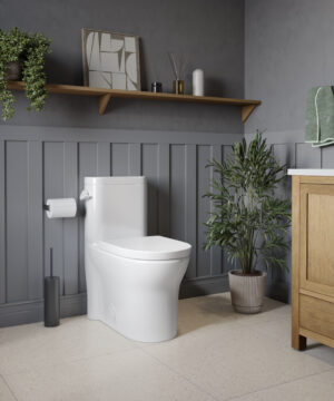 Neptune Canada Florence 4.8L Side Flush One-Piece Toilet in White