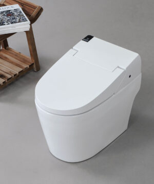 StoneTouch IKleen2 Smart Toilet